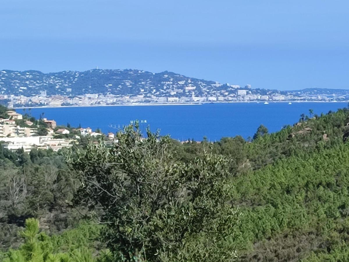 Apartmán Le Jasmin Mandelieu Exteriér fotografie